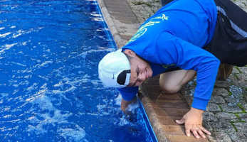 Swimming Pool Repair